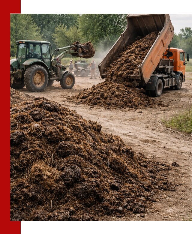 Доставка навоза самосвалами в Выксе для сельхозпотребностей