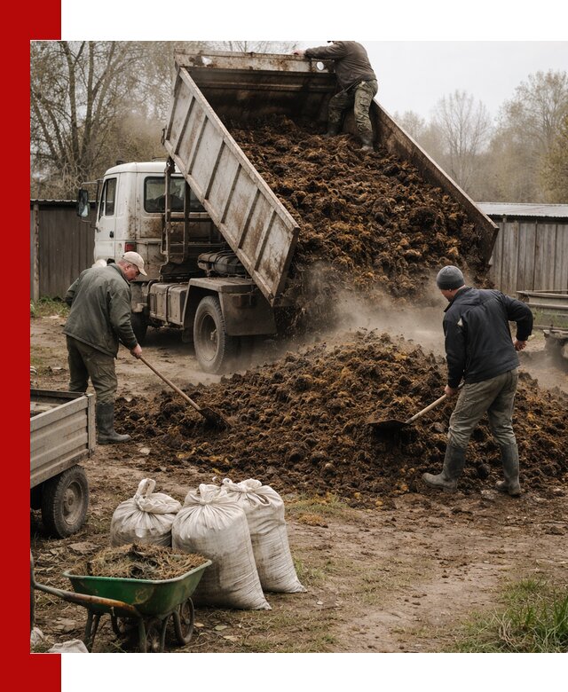 Доставка коровьего навоза самосвалом в Выксе